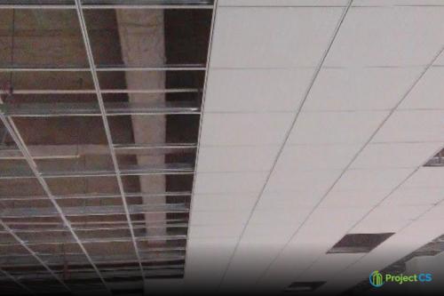 specialitie-grid ceiling-1